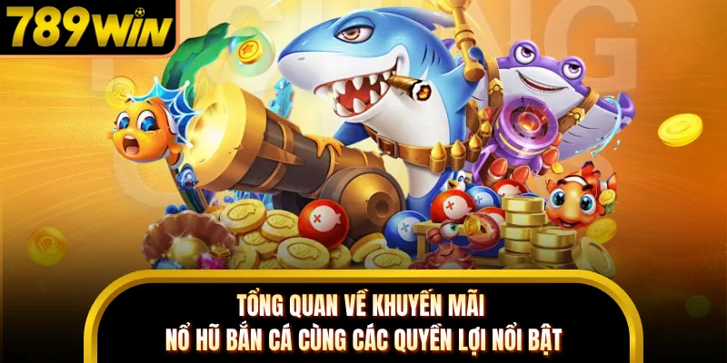 Tổng quan sơ lược về khuyến mãi nổ hũ bắn cá